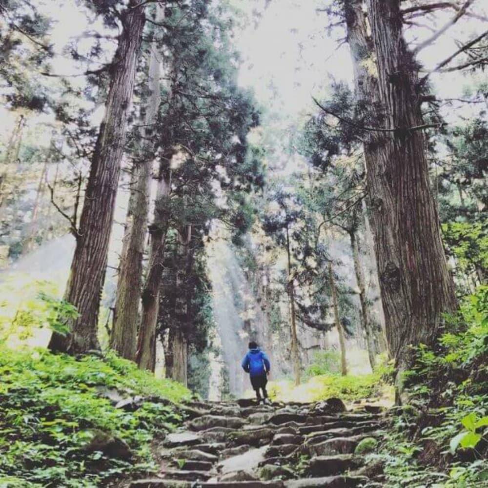 Nozawa House Daire Dış mekan fotoğraf